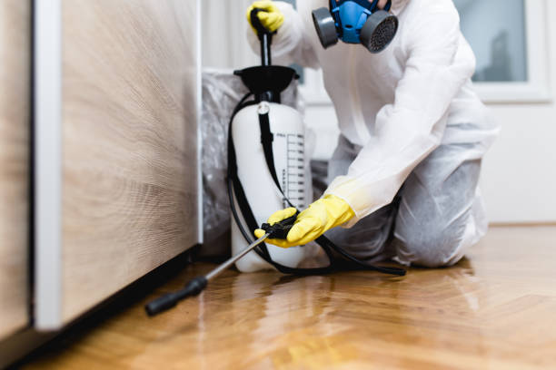 Best Pest Removal Services  in Panthersville, GA