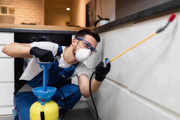Best Rat Extermination Near Me  in Panthersville, GA