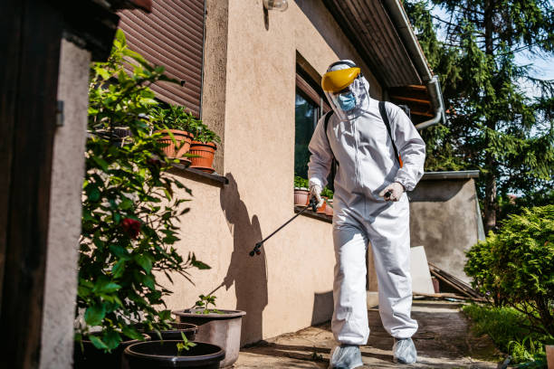 Trusted Panthersville, GA Pest Control Experts