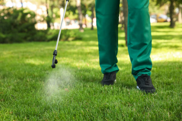 Best Rat Extermination Near Me  in Panthersville, GA