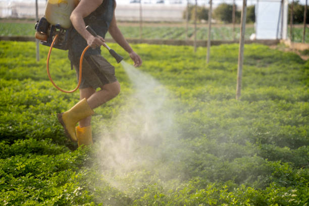 Best Best Pest Control Companies  in Panthersville, GA