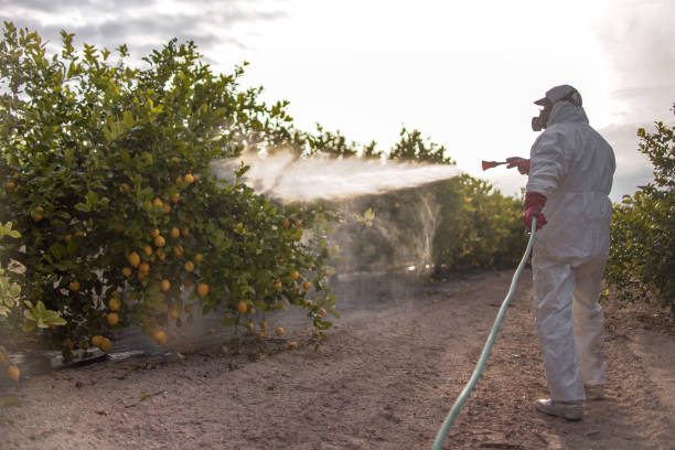 Best Local Pest Control Services  in Panthersville, GA