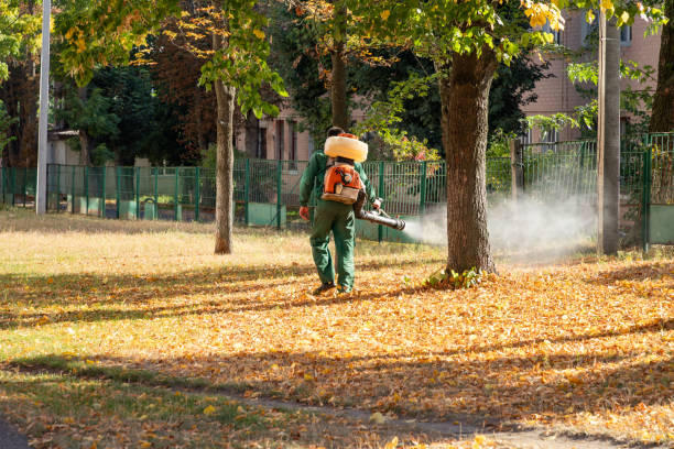 Best Affordable Pest Control Services  in Panthersville, GA