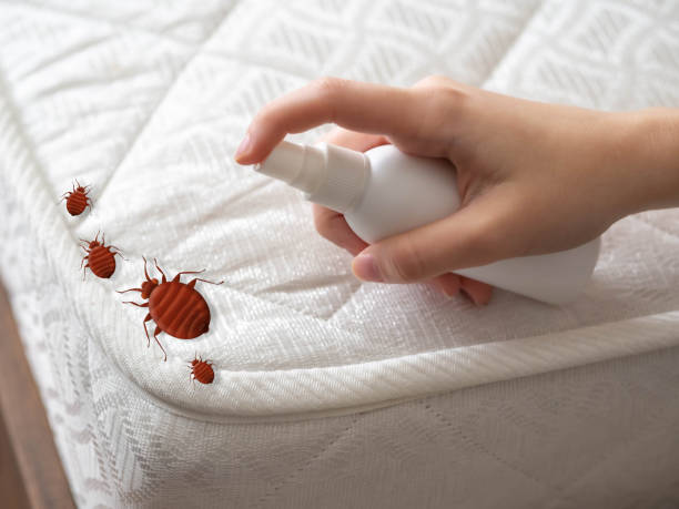 Best Pest Control Near Me  in Panthersville, GA