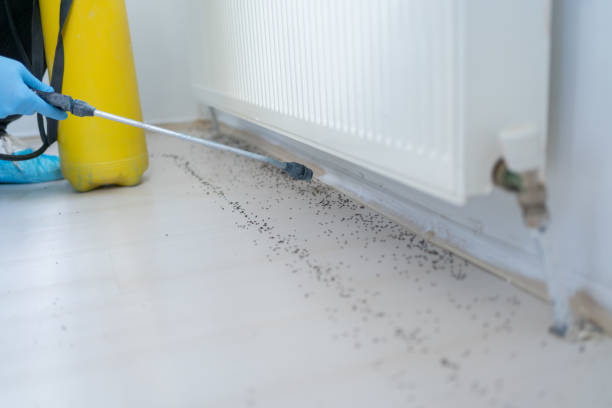 Best Mosquito Control Services  in Panthersville, GA