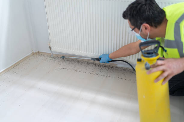 Best Bed Bug Extermination  in Panthersville, GA