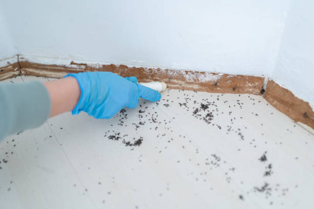 Pest Control for Restaurants in Panthersville, GA